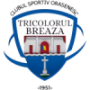 CS Tricolorul Breaza