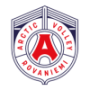 Arctic Volley