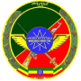 Defence Force