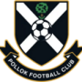 Pollok