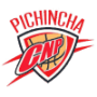 Pichincha de Potosi