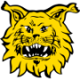 Ilves Tampere (F)