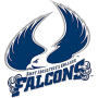 St Augustines Falcons