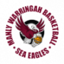 Manly Warringah Sea Eagles