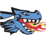 Virginia Lynchburg Dragons