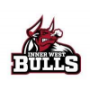 Inner West Bulls