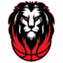 Leones De Santo Domingo