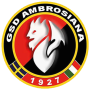 Gsd Ambrosiana