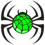 Hornsby Spiders