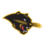 Ohio Dominican Panthers