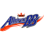 Niigata Albirex BB