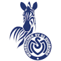 MSV Duisbourg 19