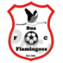 Sua Flamingoes