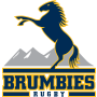 Brumbies