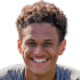 Gabriel Diollo