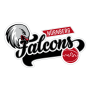 Nürnberg Falcons