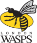 Wasps