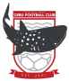 DH Cebu FC