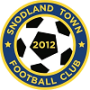 Snodland Town FC