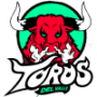 Toros Del Valle