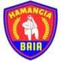 ACS Hamangia Baia