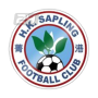 Hong Kong Sapling