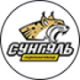 Сунгуль