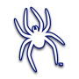Richmond Spiders (W)