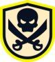 Team Serega Pirat
