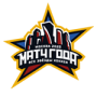 NHL Stars