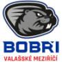 HC Bobri Valasske Mezirici