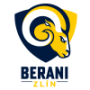Berani Zlin U20