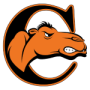 Campbell Lady Camels (F)