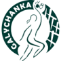 Galychanka-2 Lfks-LVIV