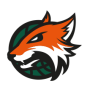 Plymouth Raiders