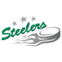Bietigheim Steelers