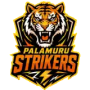Palamuru Strikers