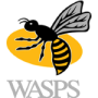 Wasps