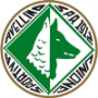 US Avellino Viareggio Team