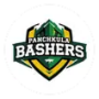 Panchkula Bashers