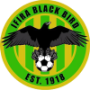Ifira Black Bird