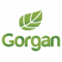 Pas Gorgan