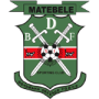Bdf Xi