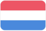 Netherlands U19