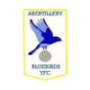 Abertillery Bluebirds