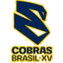 Cobras Brasil Xv