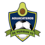 Aguacateros de Periban FC