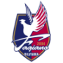 Fagiano Okayama
