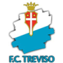 TREVISE
