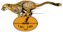 Toyota Free State Cheetahs